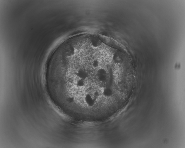 X0000093750149200711061056