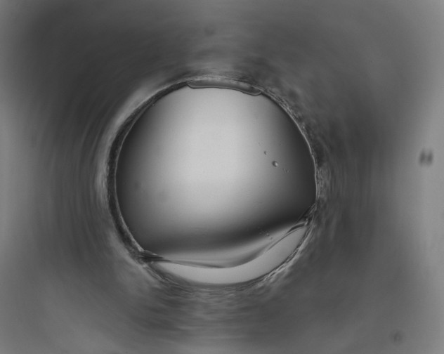 X0000093750150200711061056