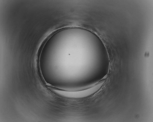 X0000093750152200711061056