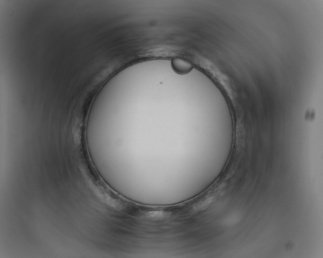 X0000093750153200711061056