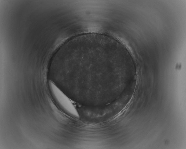 X0000093750154200711061056