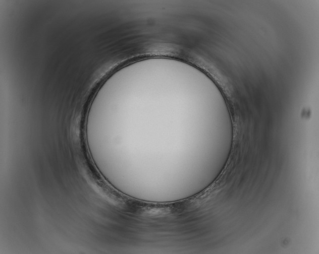 X0000093750155200711061056