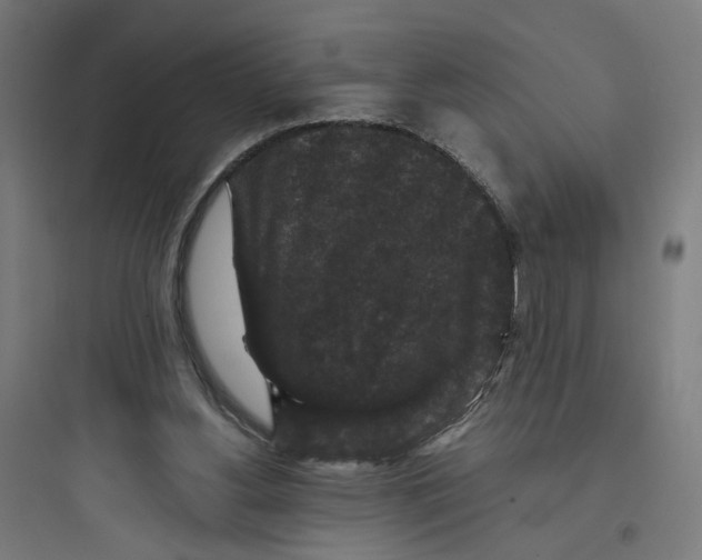 X0000093750156200711061056