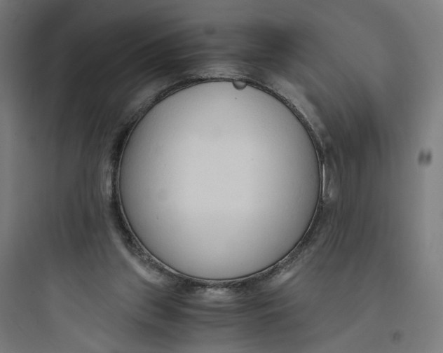 X0000093750157200711061056