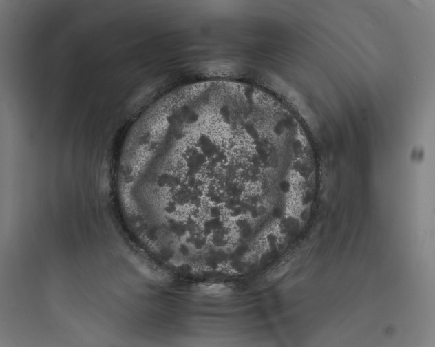 X0000093750161200711061056