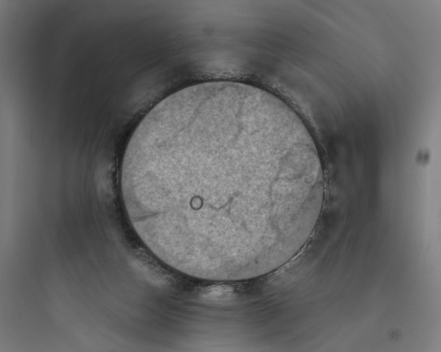 X0000093750162200711061056