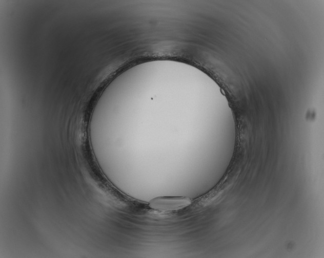 X0000093750164200711061056