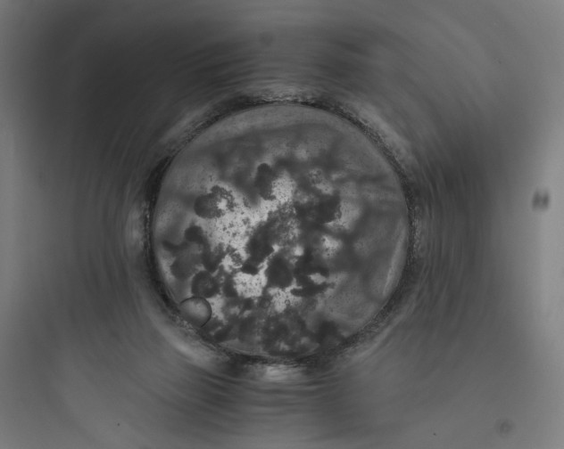 X0000093750165200711061056