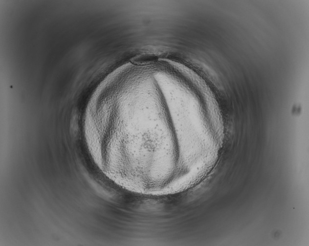 X0000093750166200711061056