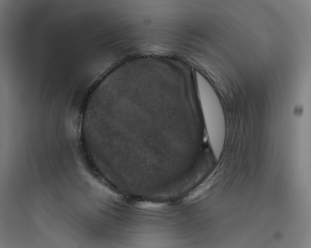 X0000093750168200711061056