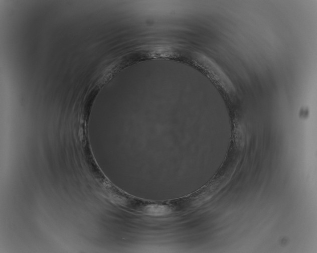 X0000093750169200711061056