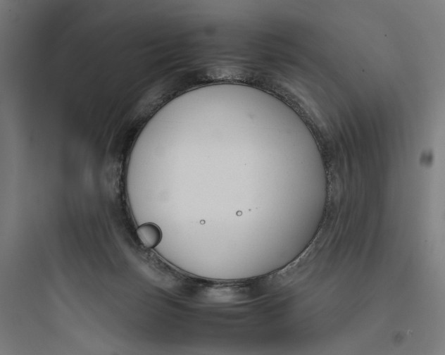 X0000093750171200711061056