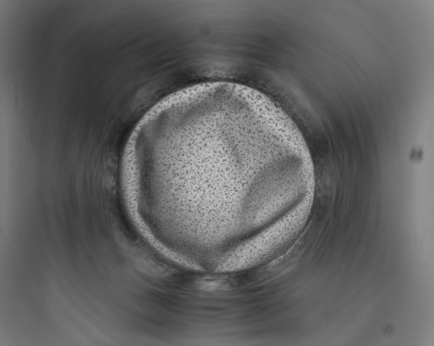 X0000093750175200711061056