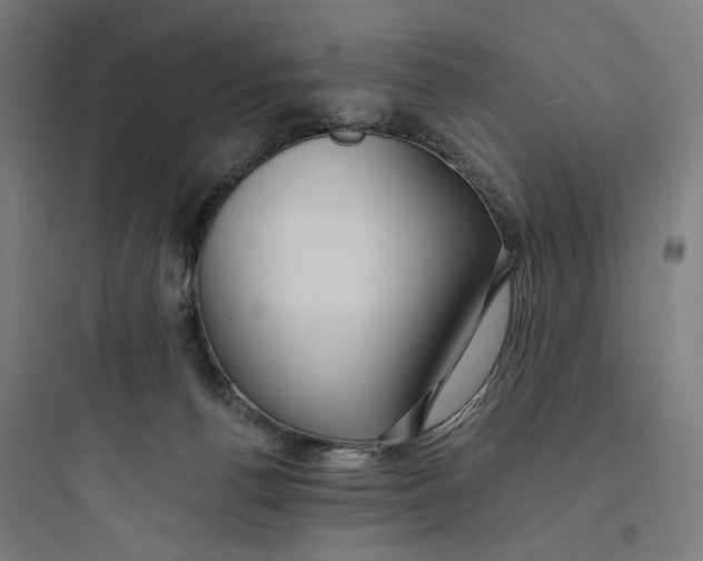 X0000093750176200711061056