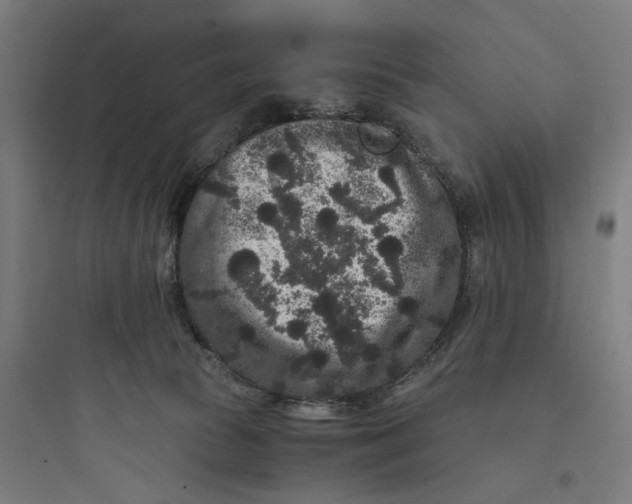 X0000093750177200711061056