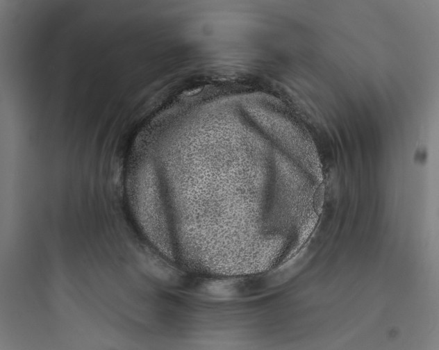X0000093750178200711061056