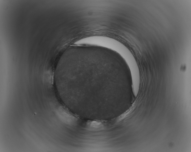 X0000093750180200711061056