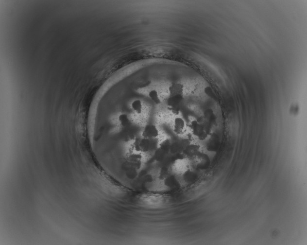 X0000093750181200711061056