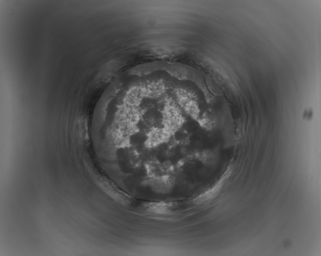 X0000093750182200711061056