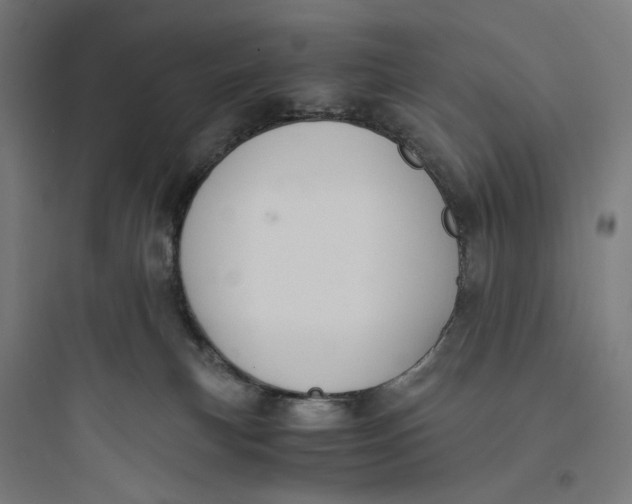 X0000093750183200711061056