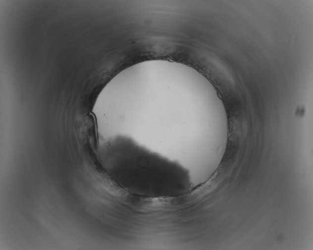 X0000093750184200711061056