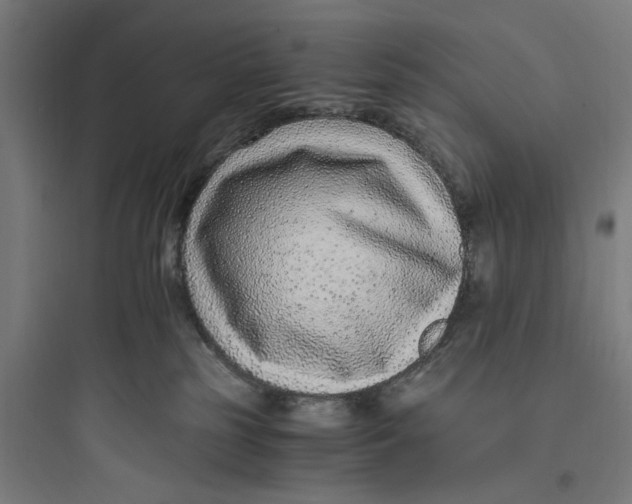 X0000093750185200711061056