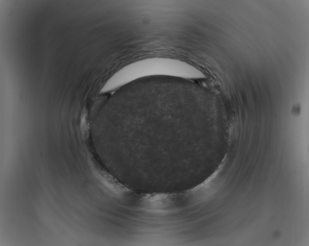 X0000093750186200711061056