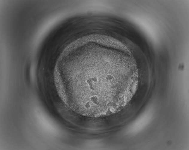 X0000093750189200711061056