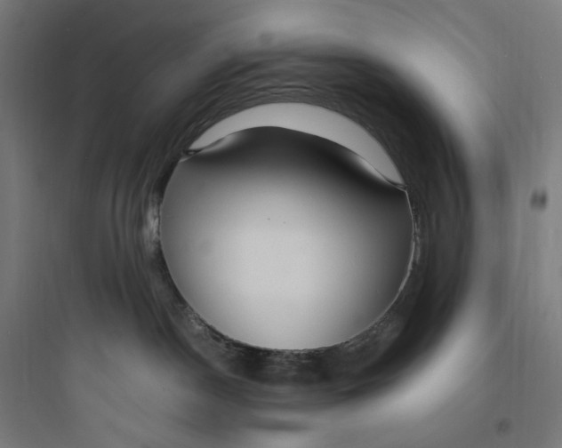 X0000093750190200711061056