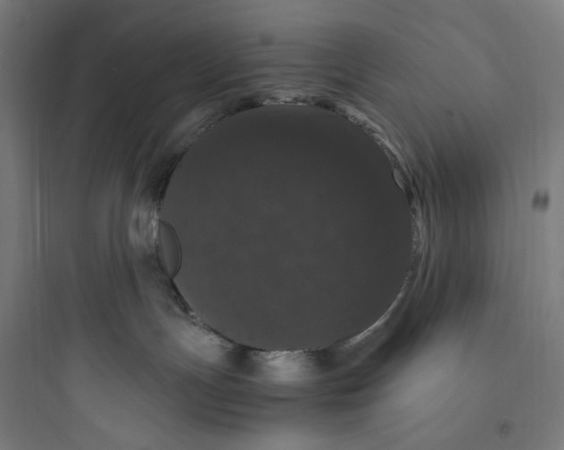 X0000093750191200711061056