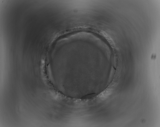 X0000093750192200711061056