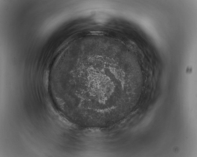 X0000093750194200711061056