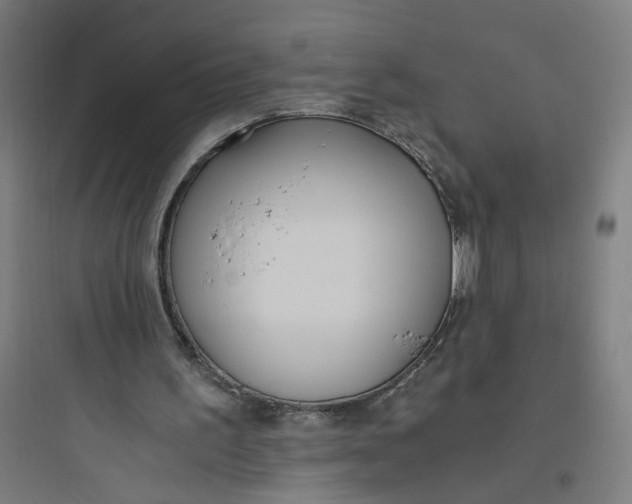 X0000093750195200711061056