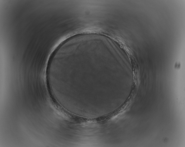 X0000093750196200711061056