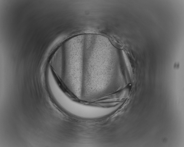 X0000093750197200711061056