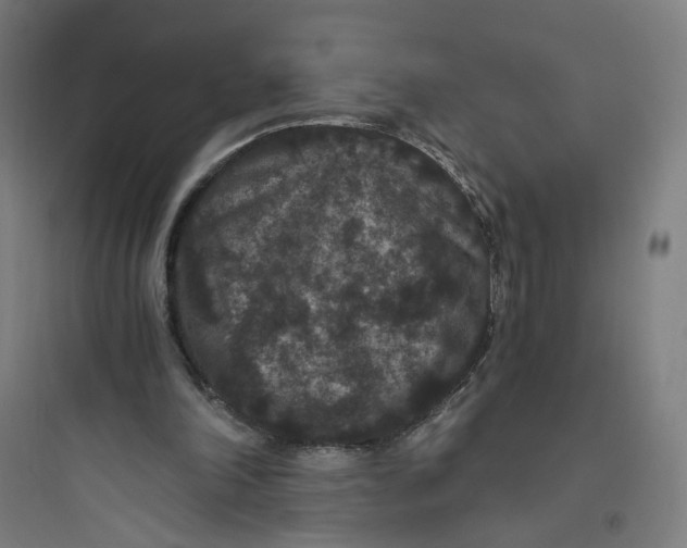 X0000093750198200711061056