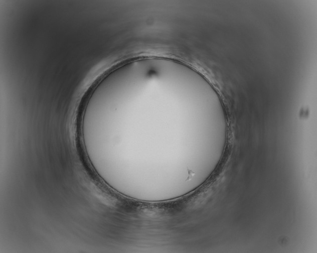 X0000093750199200711061056