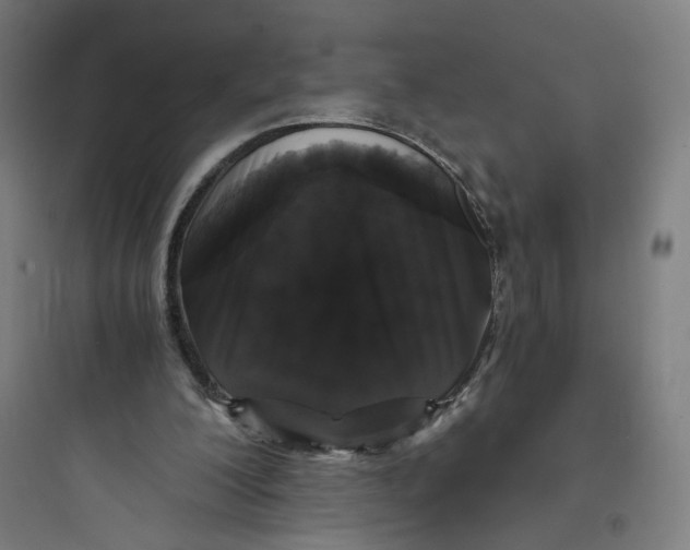 X0000093750200200711061056