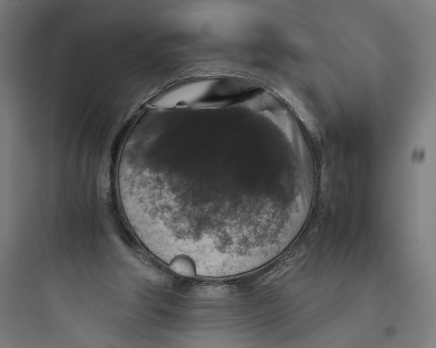 X0000093750202200711061056