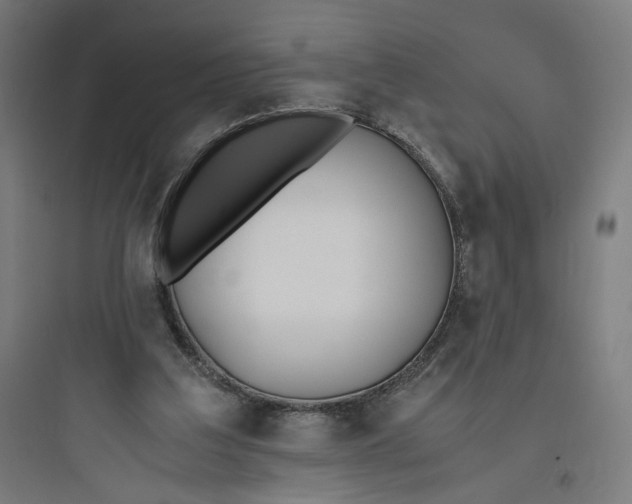 X0000093750203200711061056