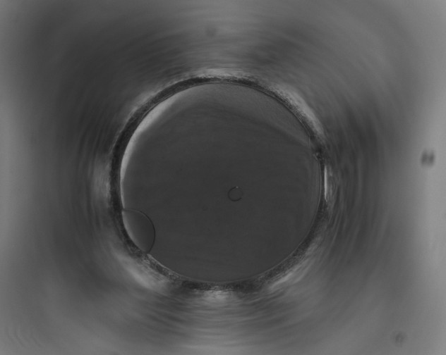 X0000093750204200711061056