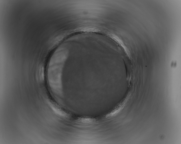 X0000093750205200711061056