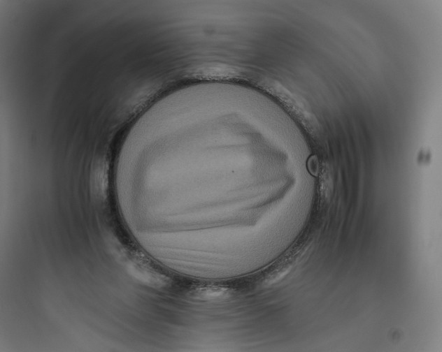 X0000093750206200711061056