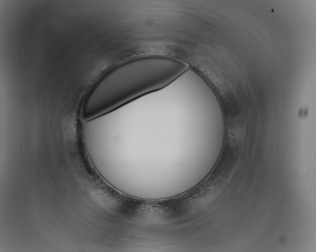 X0000093750207200711061056