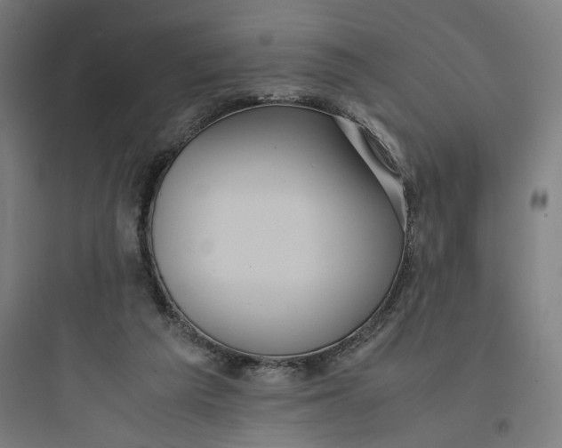 X0000093750209200711061056