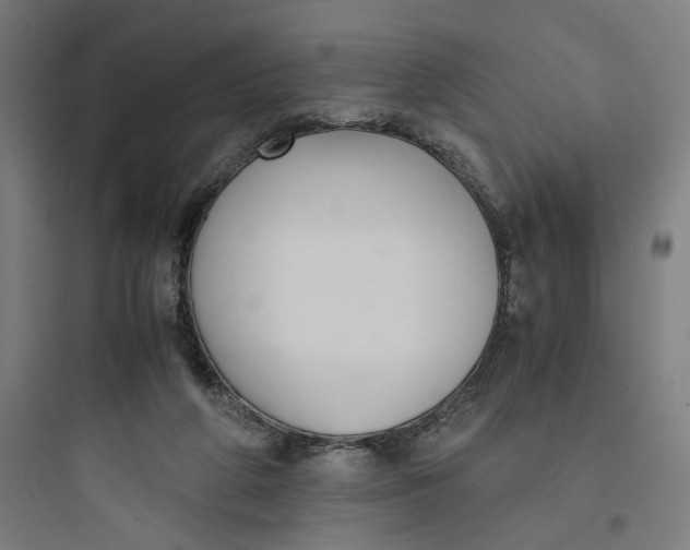 X0000093750210200711061056