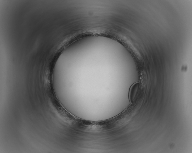 X0000093750212200711061055