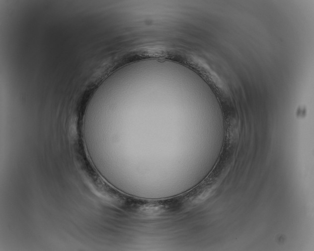 X0000093750213200711061055
