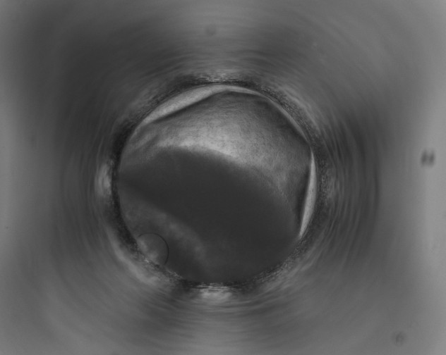 X0000093750214200711061055