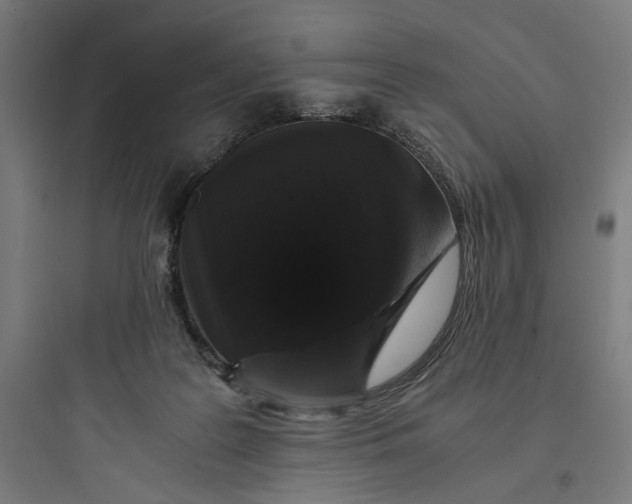 X0000093750219200711061055